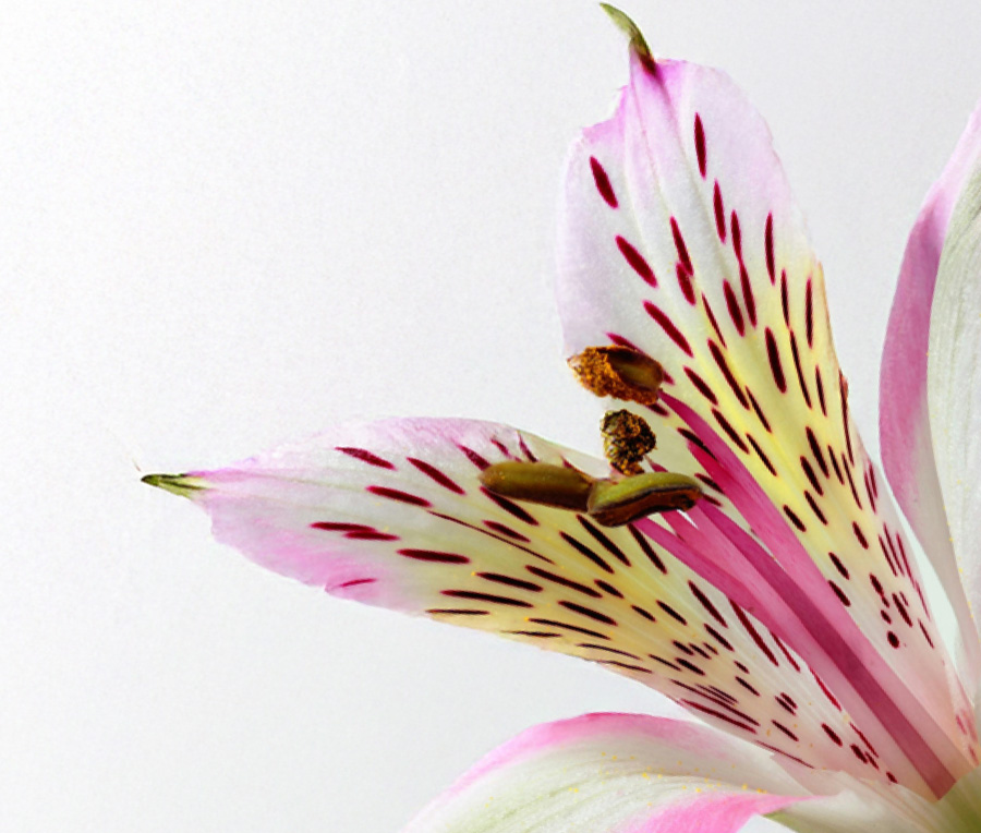 about-us-grupo-lozmar